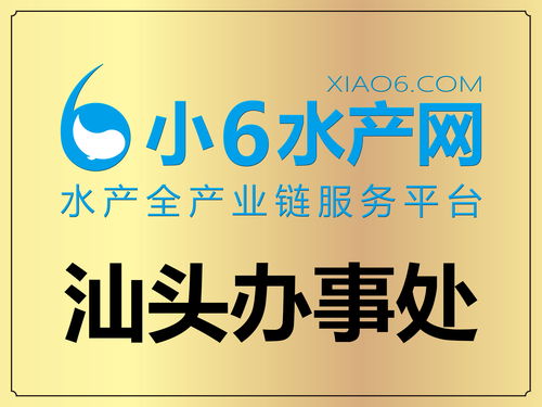 网络技术服务 水产互联网独角兽的全国办事处与全覆盖服务网络